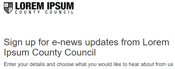 Form/landing page title example