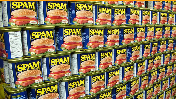 Everything you need to know about spamtraps